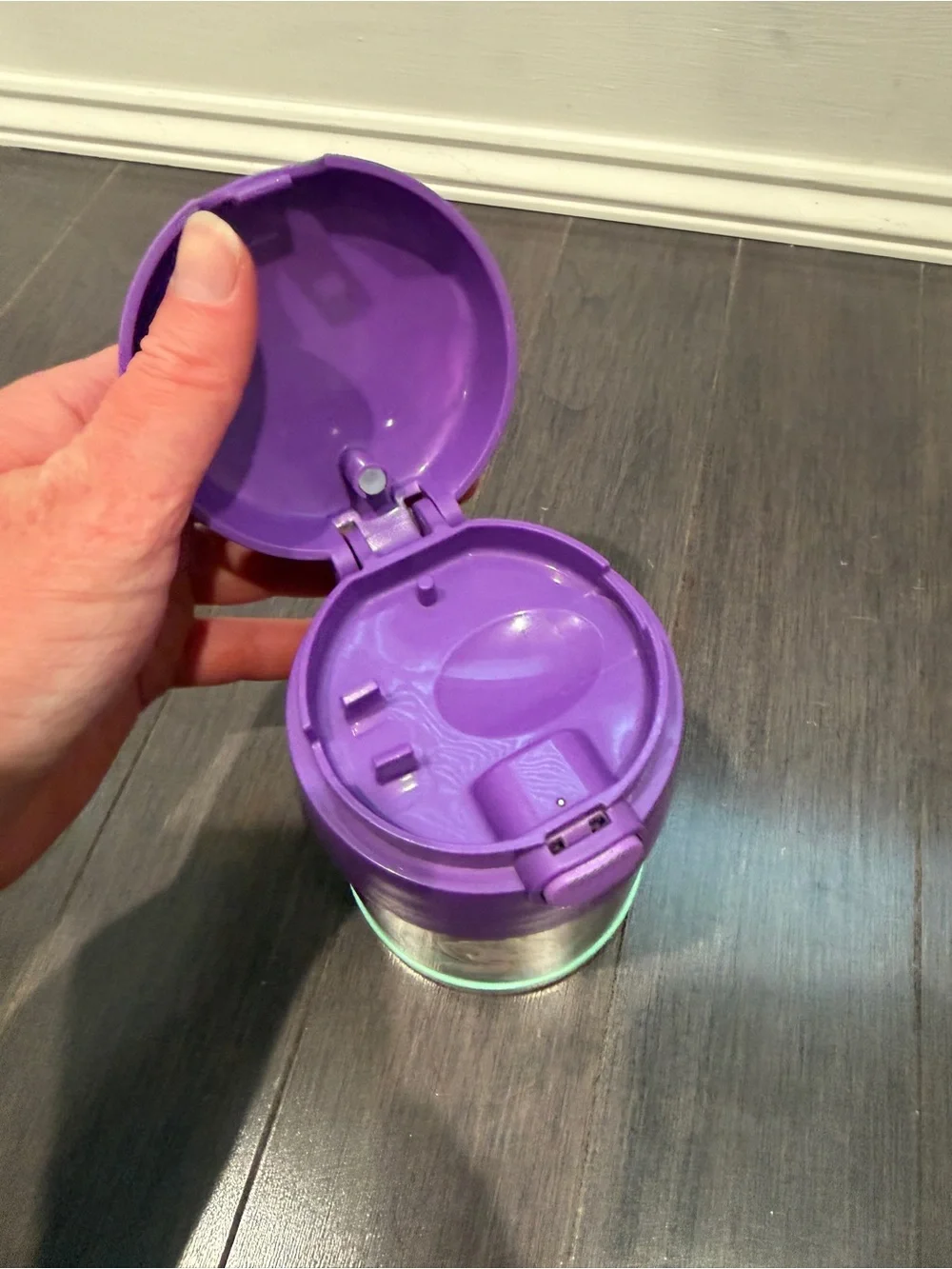 Thermos Disney Frozen Elsa Anna Olaf Purple and Teal Kids Food Jar Lunch